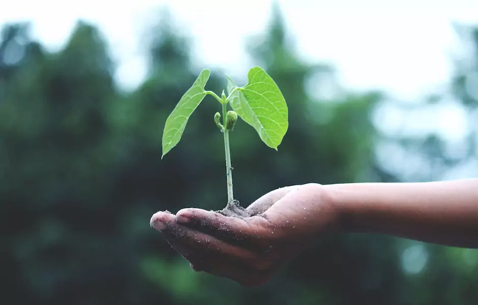 Sustainability